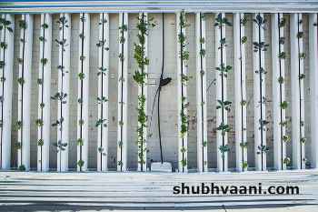 vertical farming information in hindi