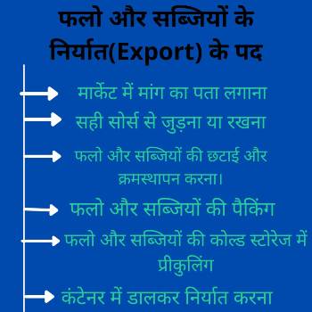 fruits and vegetables export