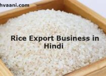 rice export business in hindi