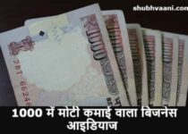 1000 me konsa business shuru kare in hindi