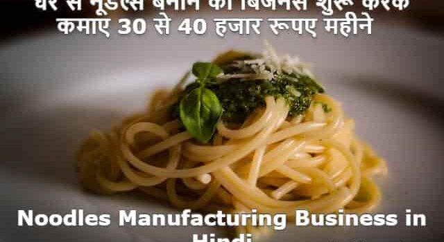 Noodles Making Business in Hindi