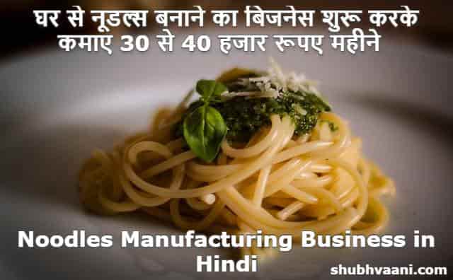 Noodles Manufacturing Business in Hindi