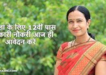 12th pass government jobs for female in Hindi