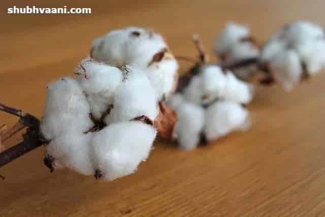 How to start a Cotton mill business in Hindi 