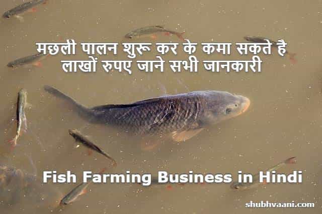 How to Start Fish Farming Business in Hindi