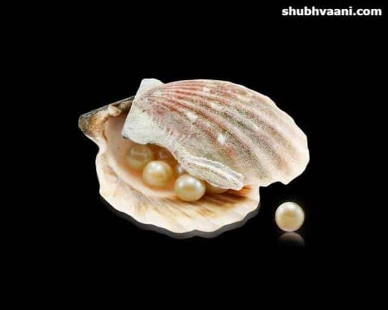 How to Start Pearl Farming in India in Hindi