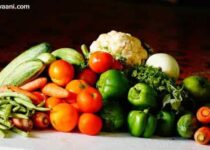 Vegetable Business Ideas in Hindi